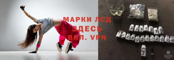 крисы Надым