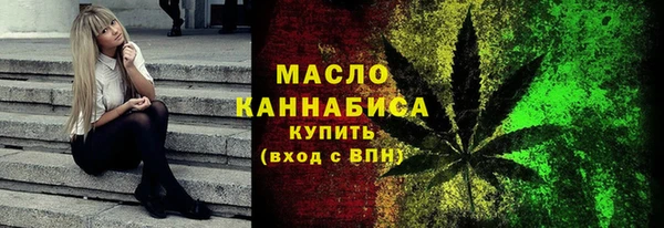 крисы Надым