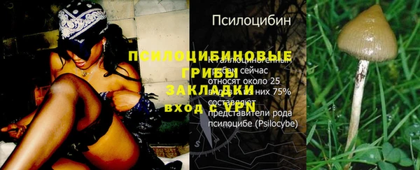 кристаллы Нефтегорск