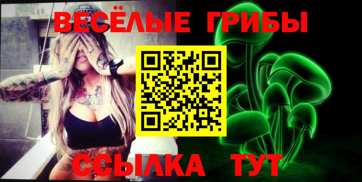 Псилоцибиновые грибы GOLDEN TEACHER Сочи