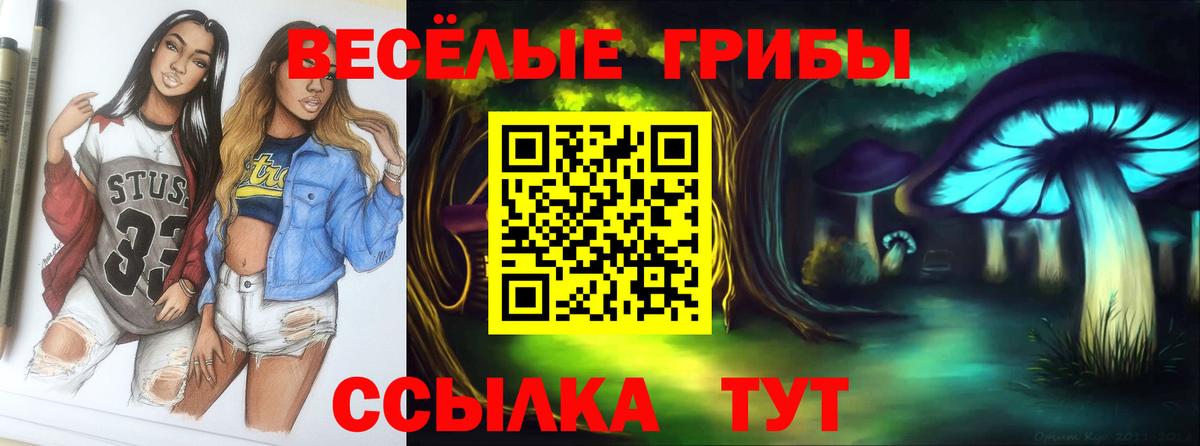 Псилоцибиновые грибы мухоморы  Галлюциногенные грибы Cubensis  Сочи  Вход с VPN 